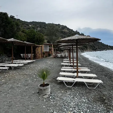 Sarantopoyloy Eleni *