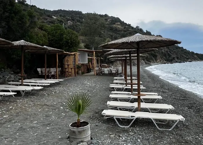 Sarantopoyloy Eleni *